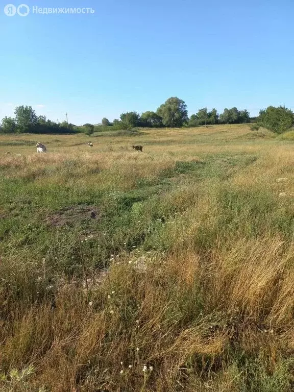 Участок в Добровское сельское поселение, село Заречное, улица Тараса ... - Фото 0