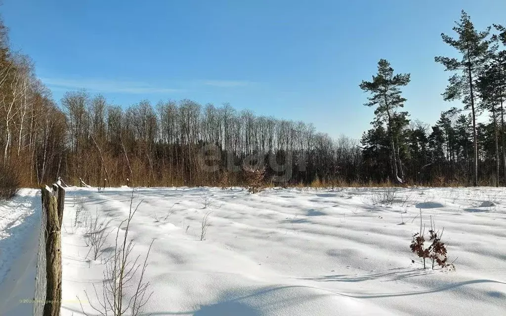 Участок в Татарстан, Лаишевский район, Кирбинское с/пос, д. Травкино ... - Фото 0