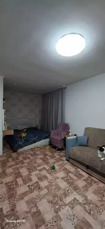 1-к кв. Пермский край, Нытва ул. Константина Симонова, 16к4 (33.8 м) - Фото 2