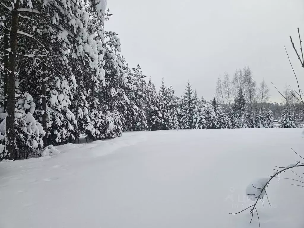 Участок в Московская область, Рузский муниципальный округ, д. ... - Фото 1