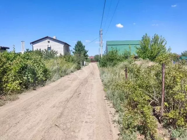 Участок 10 сот. (СНТ, ДНП) - Фото 0