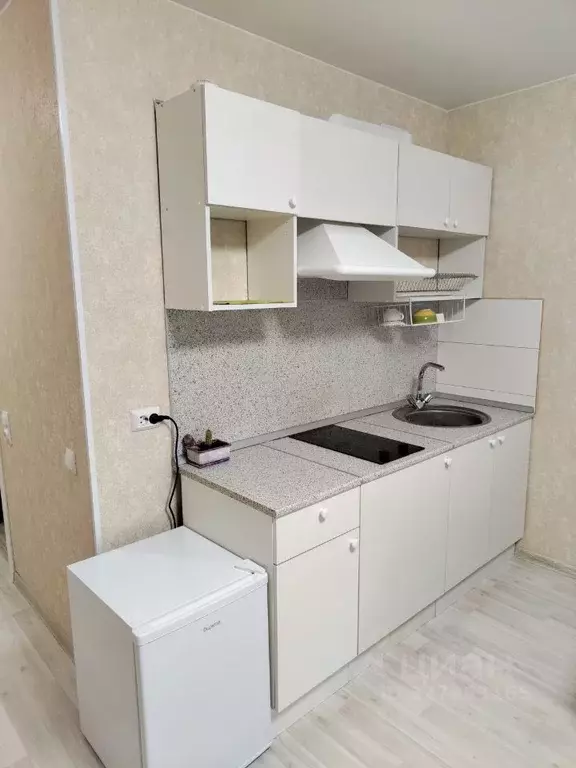 Студия Ленинградская область, Ломоносовский район, Виллозское ... - Фото 1