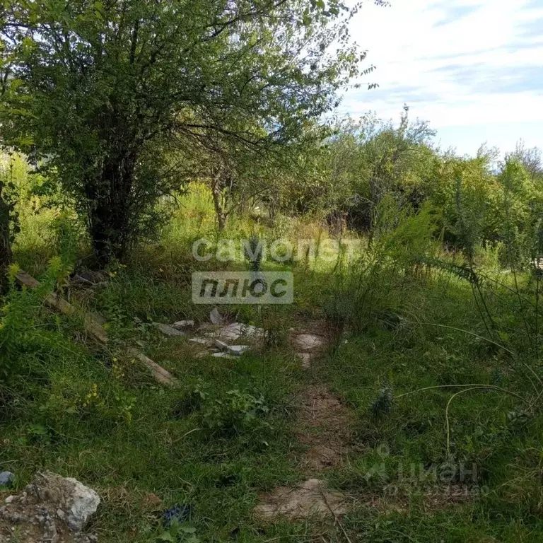 Участок в Краснодарский край, Сочи городской округ, с. Черешня ул. ... - Фото 2