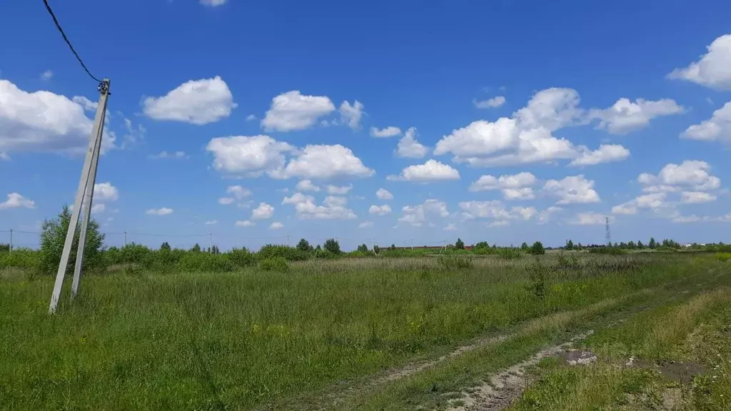 Участок в Пензенская область, Бессоновский район, с. Кижеватово ул. ... - Фото 1