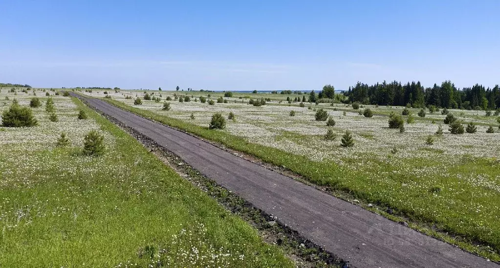 Участок в Удмуртия, Завьяловский район, д. Красный Кустарь  (8.0 сот.) - Фото 1