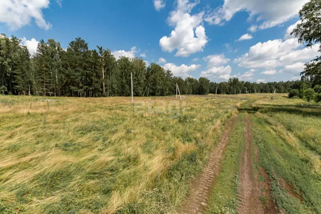 участок в алтайский край, барнаул городской округ, с. власиха, . - Фото 1