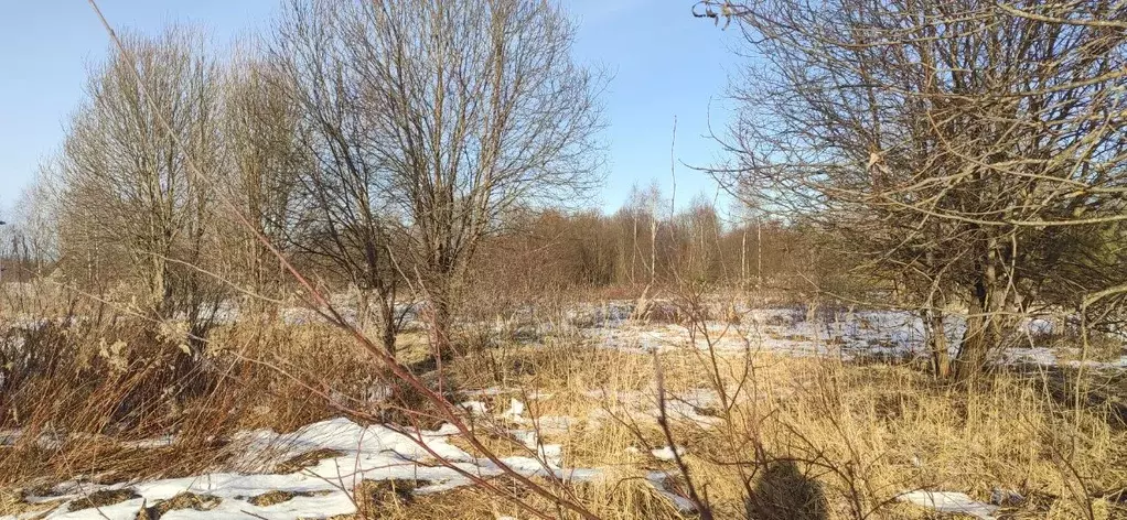 Участок в Московская область, Талдомский городской округ, Запрудня рп  ... - Фото 0