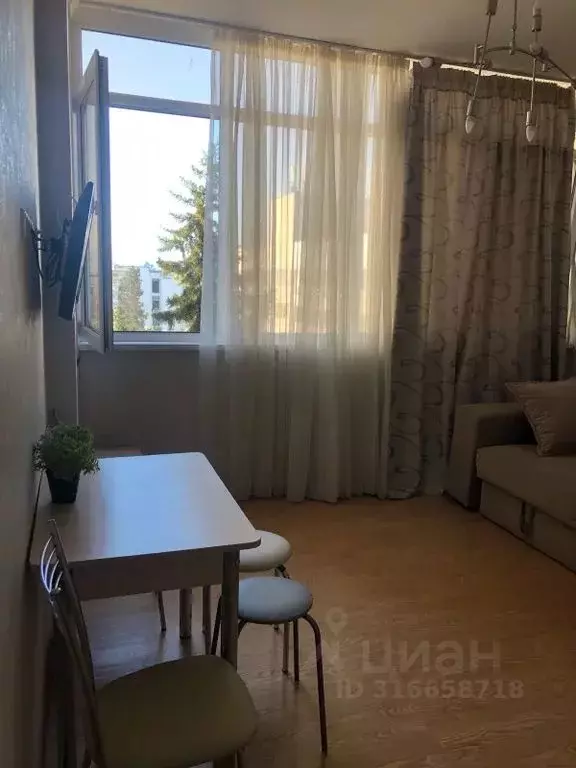 Студия Краснодарский край, Сочи ул. Просвещения, 118/2 (25.0 м) - Фото 1