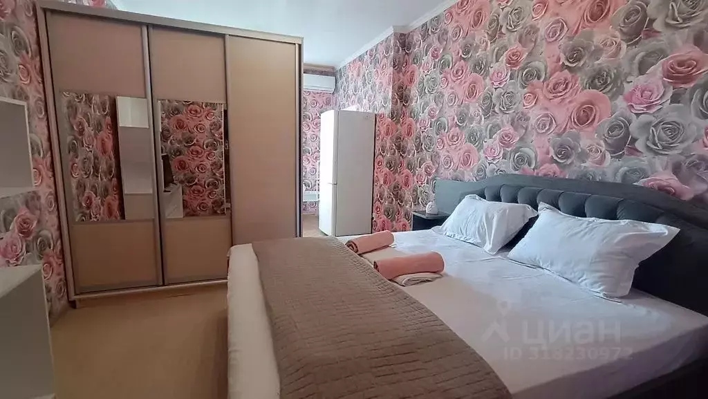1-к кв. Ставропольский край, Пятигорск ул. Юлиуса Фучика, 3 (32.0 м) - Фото 0