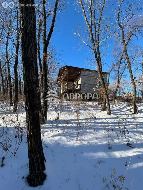Дом в Амурская область, Благовещенский муниципальный округ, село ... - Фото 1