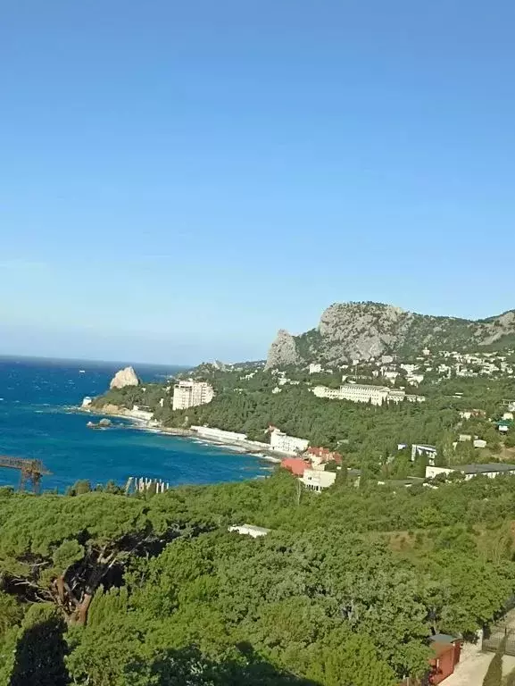 Студия Крым, Ялта муниципальный округ, Симеиз пгт ул. Михаила ... - Фото 2