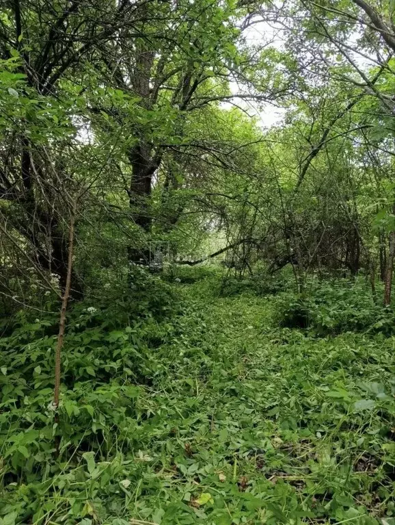 Участок в Владимирская область, Собинский муниципальный округ, д. ... - Фото 1