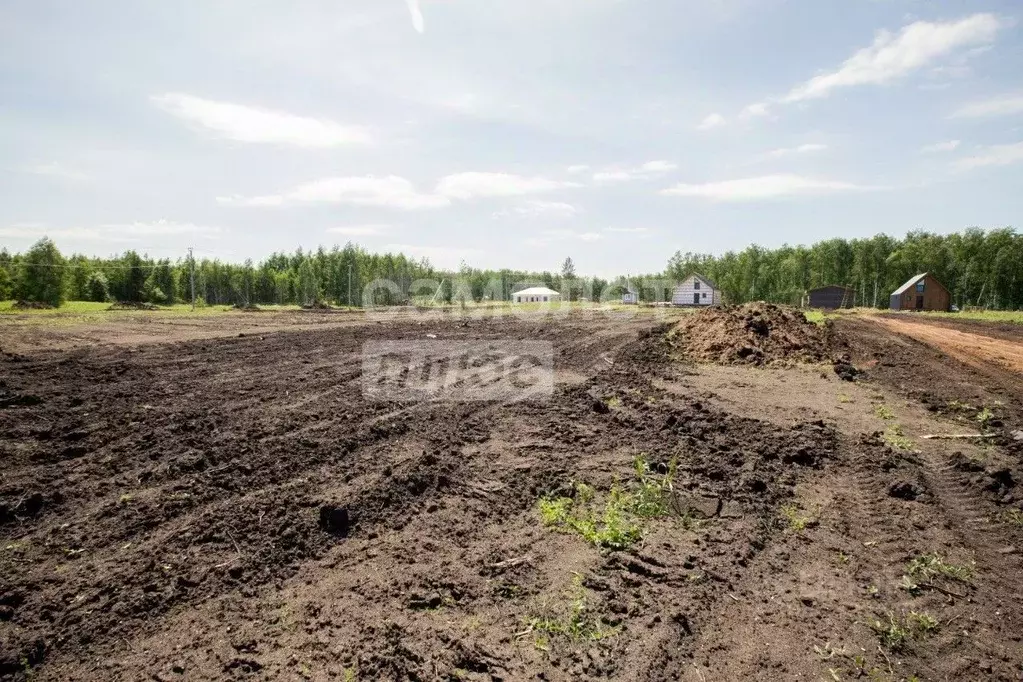 Участок в Челябинская область, Сосновский муниципальный округ, Городок ... - Фото 1
