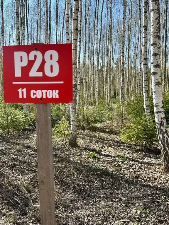 Участок в Московская область, Ступино городской округ, Шелково Форест ... - Фото 1