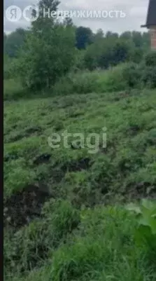 Участок в Томский район, Богашёвское сельское поселение, садовое ... - Фото 2