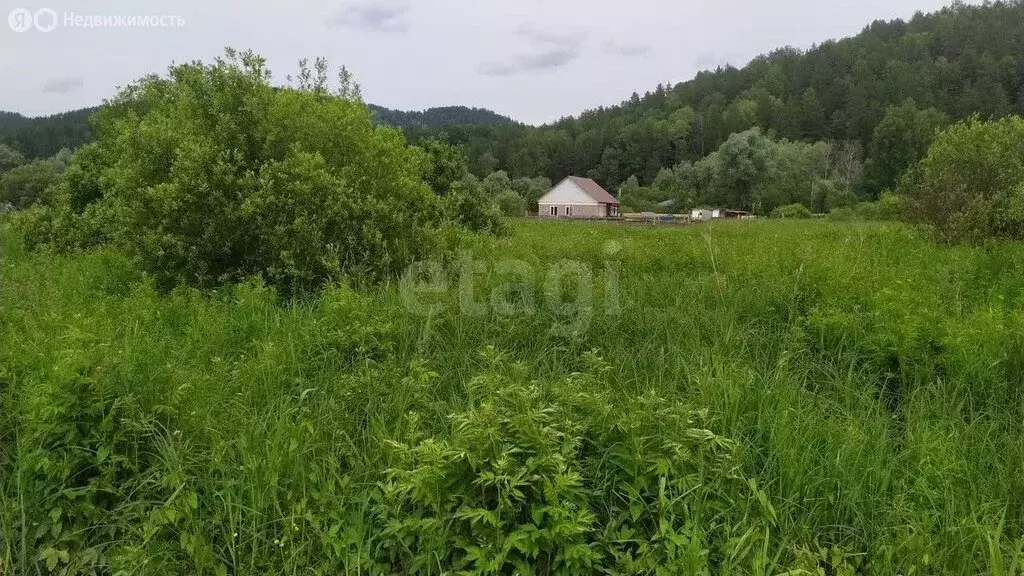 Участок в Майминский район, посёлок Филиал, улица Мира (10 м) - Фото 1