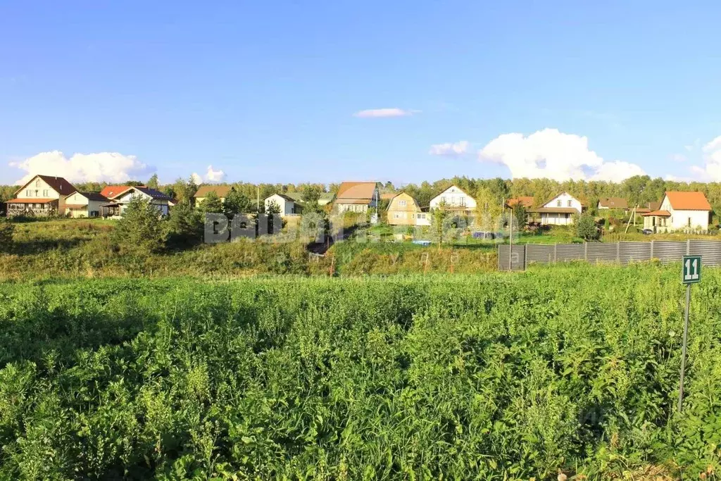 Участок в Тульская область, Заокский район, Малаховское с/пос, Нова ... - Фото 2