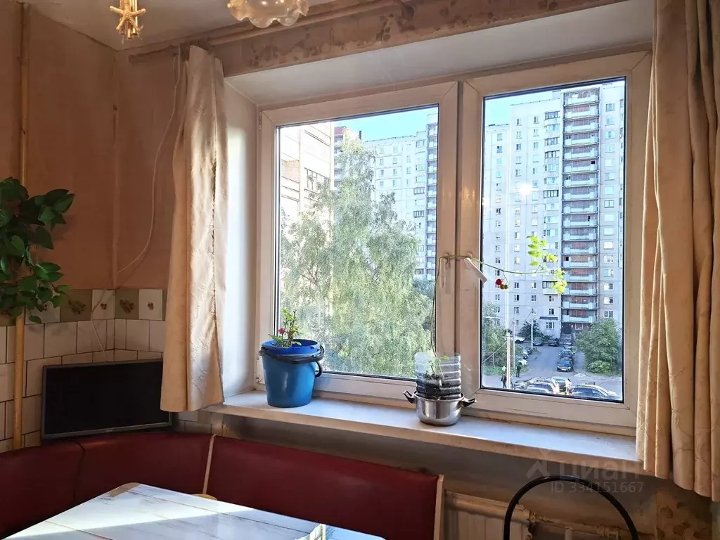 2-к кв. Санкт-Петербург просп. Культуры, 29К1 (51.0 м) - Фото 2
