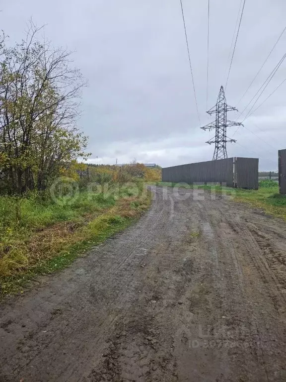 Участок в Мурманская область, Кольский район, Кильдинстрой городское ... - Фото 0