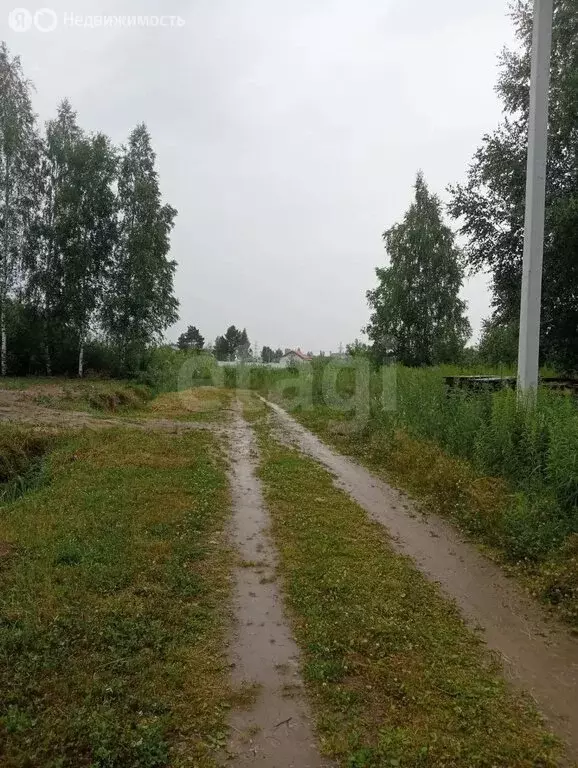 Участок в Ярославский муниципальный округ, деревня Алешково, 6-й ... - Фото 2