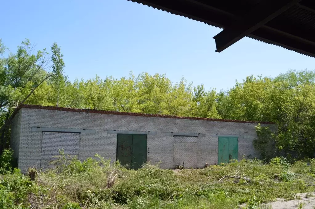 Помещение свободного назначения в Самарская область, Сызрань ул. ... - Фото 1