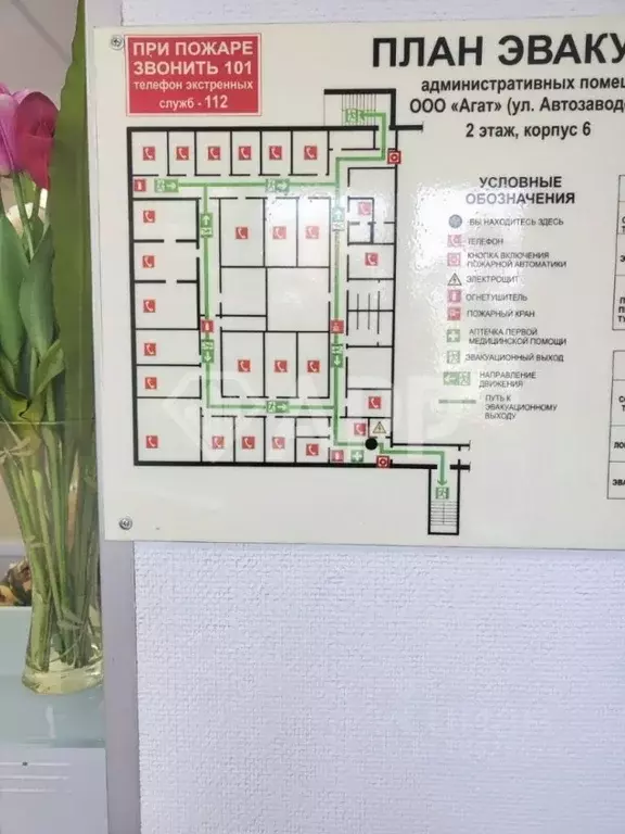 Офис в Удмуртия, Ижевск Автозаводская ул., 7 (700 м) - Фото 2