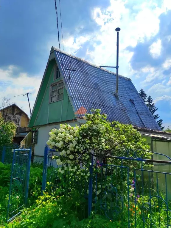 Дом в Новосибирская область, Новосибирский район, Толмачевский ... - Фото 0