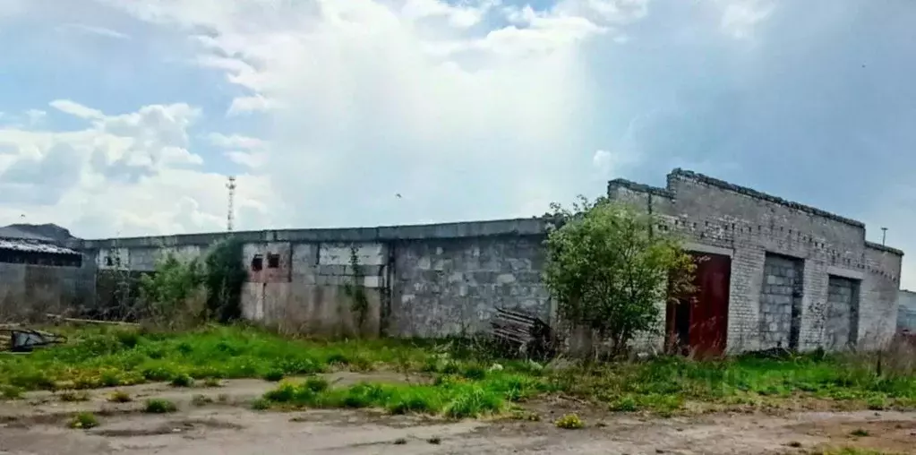 Производственное помещение в Московская область, Богородский городской ... - Фото 0