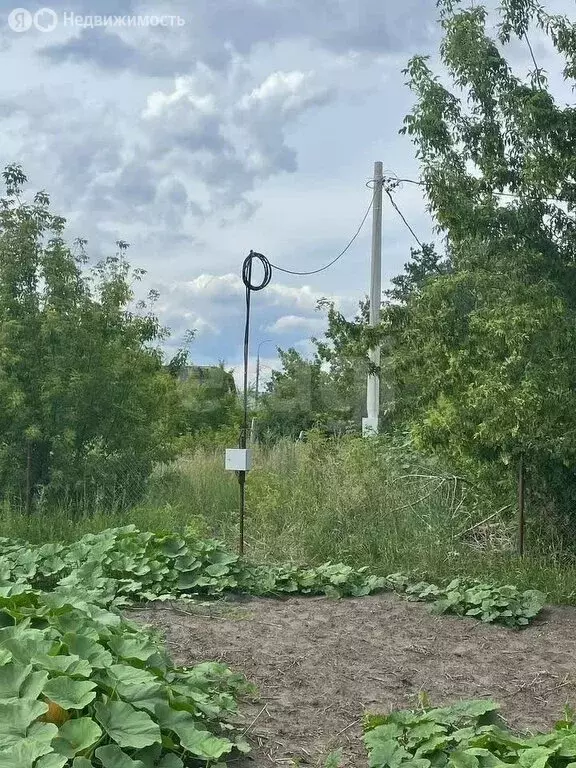 Участок в Самара, СДТ Берёза-4 (6 м) - Фото 0