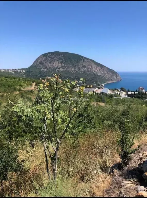 Участок в Крым, Ялта городской округ, Гурзуф пгт ул. Ялтинская, 22 ... - Фото 0