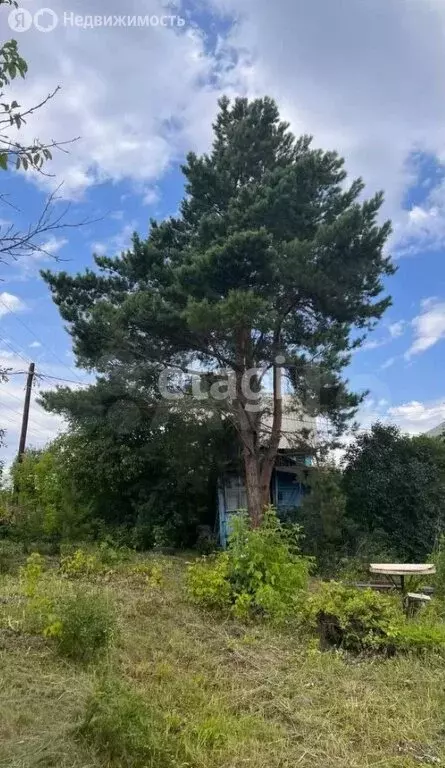 Дом в Новосибирск, садоводческое товарищество Инструментальщик (20 м) - Фото 1