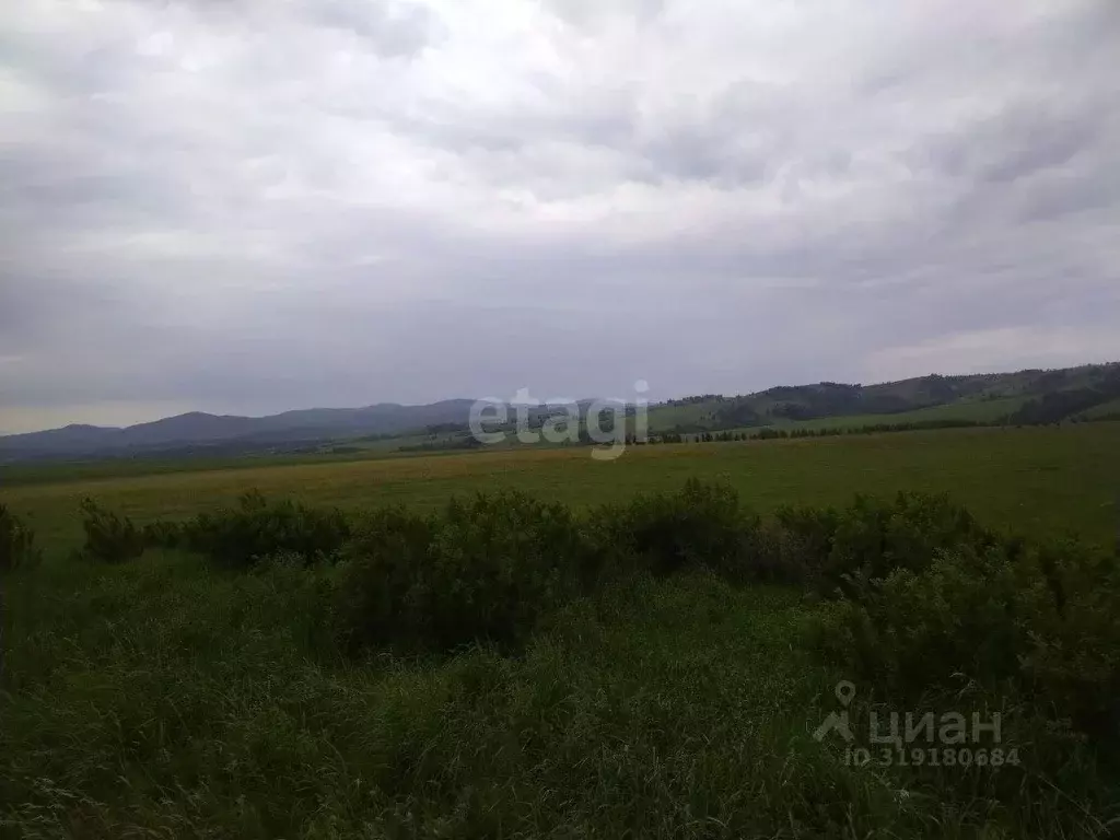 Участок в Алтайский край, Усть-Калманский район, с. Слюдянка ... - Фото 1
