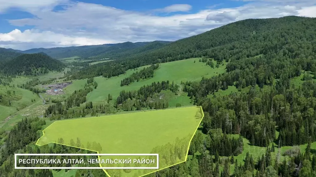 Участок в Алтай, Чемальский район, Элекмонарское с/пос  (16.0 сот.) - Фото 1