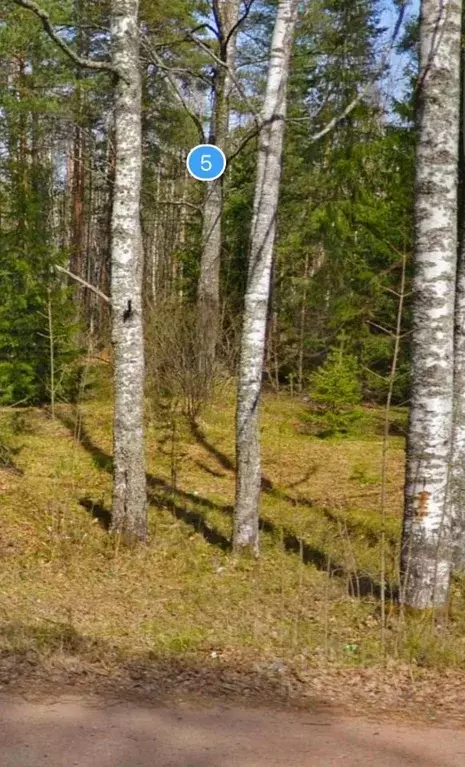 Участок в Ленинградская область, Выборгский район, Красносельское ... - Фото 1