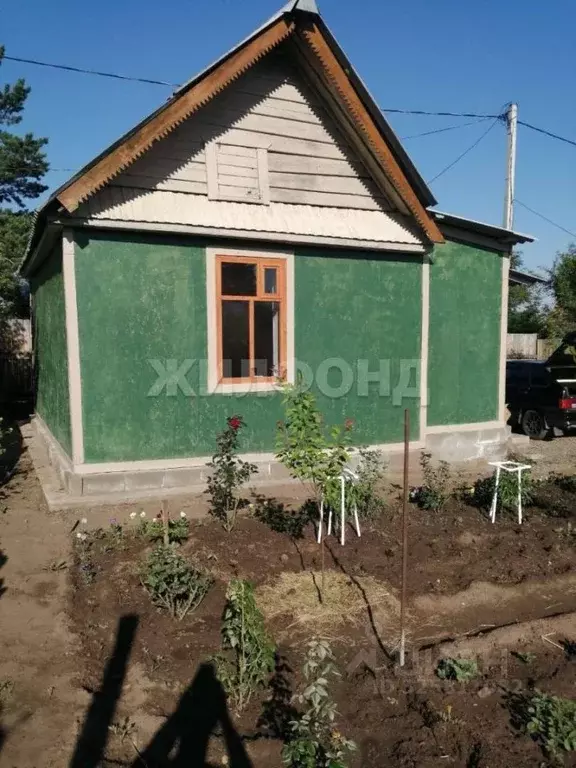 Дом в Хакасия, Алтайский район, с. Подсинее Березовая ул. (36 м) - Фото 1