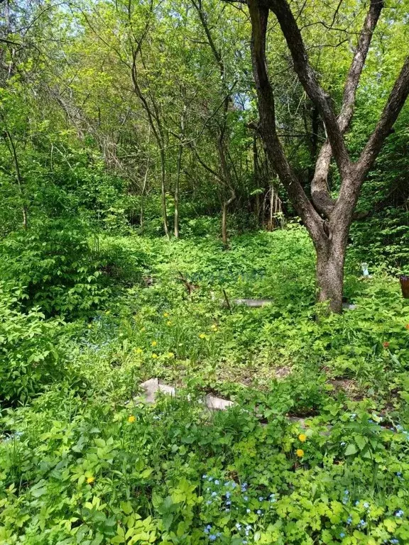 Участок в Нижегородская область, Нижний Новгород ул. Ломоносова, 21 ... - Фото 0