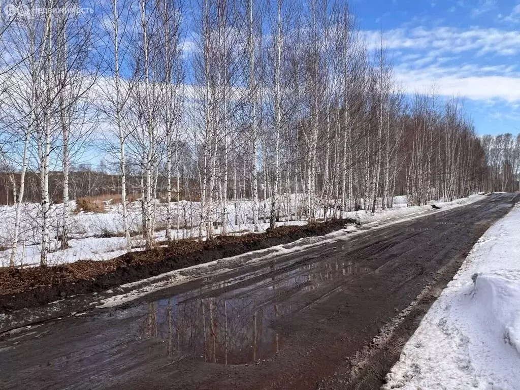 Участок в Бердск, СНТ Ива, 4-я улица (8.5 м) - Фото 0