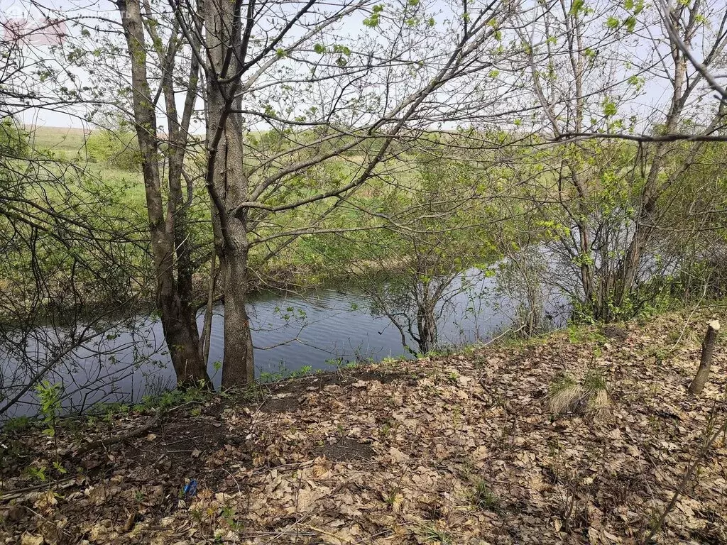 Дом в село Лебяжье, улица Сиверцева (25 м) - Фото 0