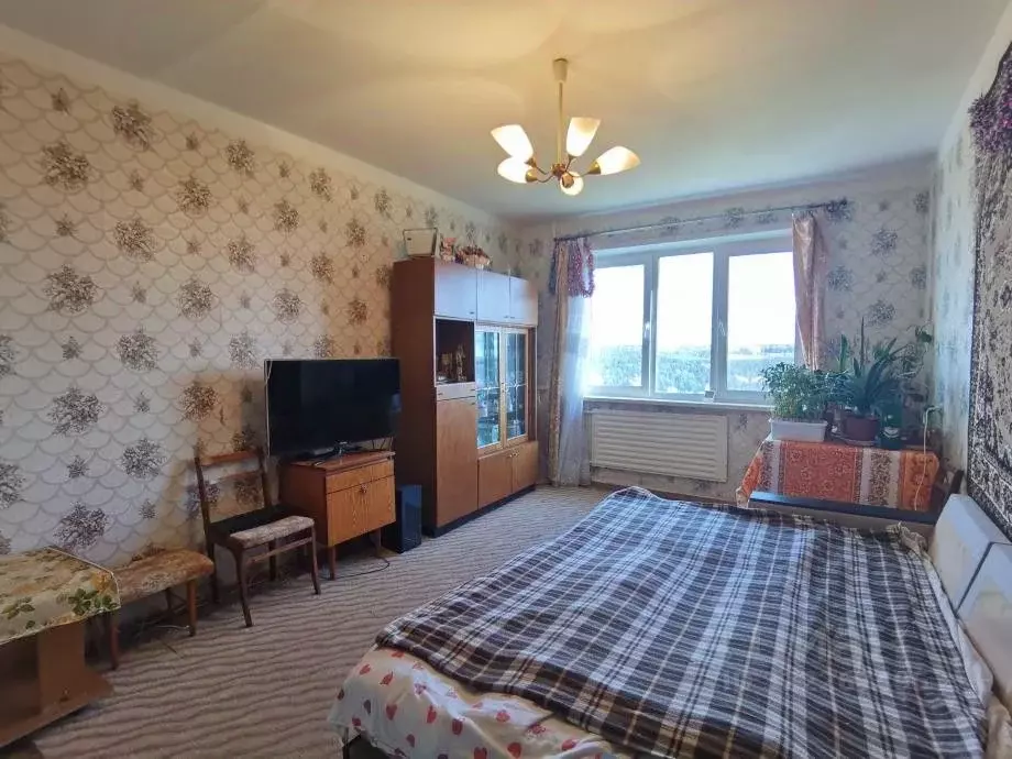 2-к кв. Пермский край, Березники ул. Мира, 80 (51.4 м) - Фото 1