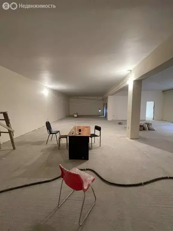Помещение свободного назначения (240 м) - Фото 2
