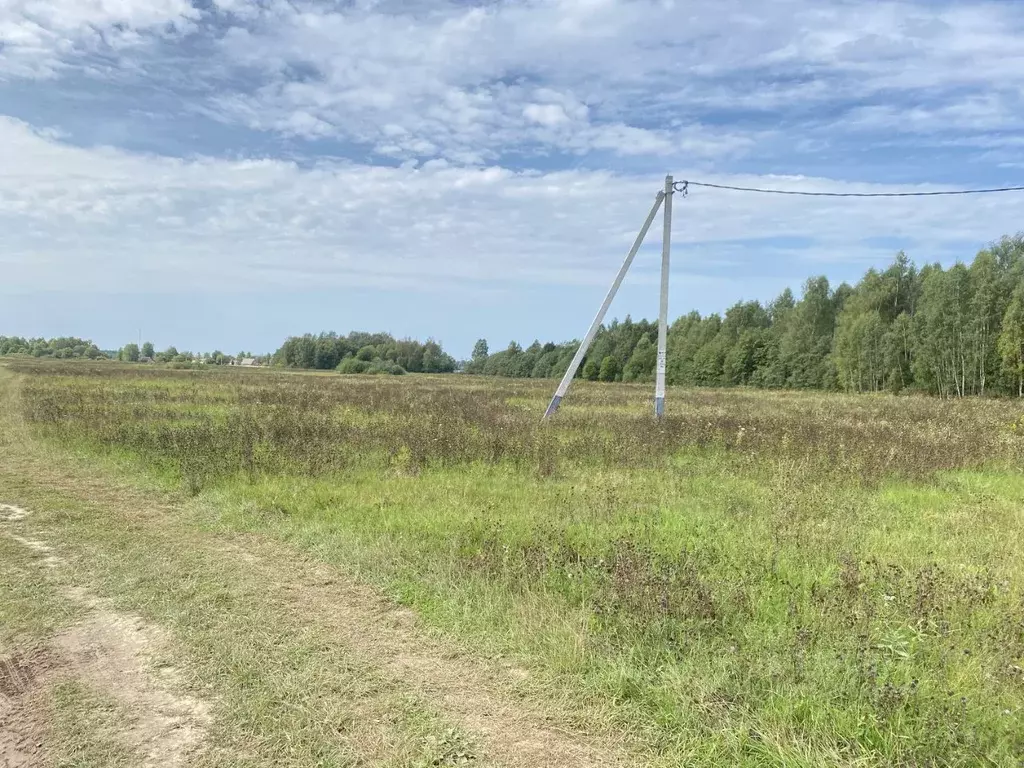 участок в московская область, можайский городской округ, можайские . - Фото 0