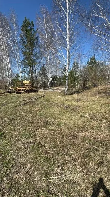 Участок в Алтайский край, Бийский район, пос. Усть-Катунь  (25.0 сот.) - Фото 2