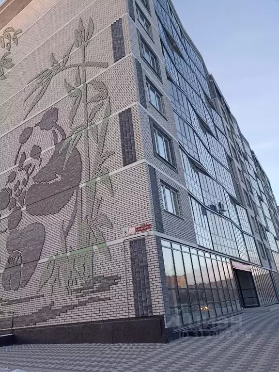 Студия Хакасия, Абакан ул. Ленинского Комсомола, 77 (31.0 м) - Фото 1