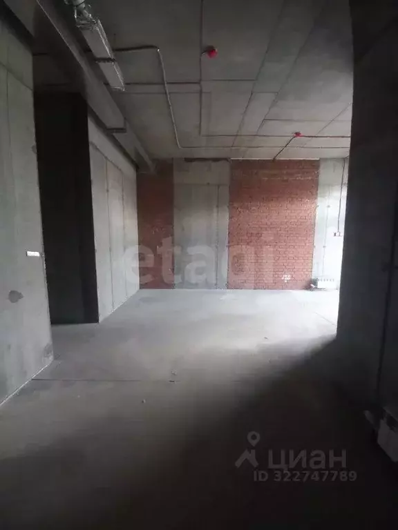 Помещение свободного назначения в Амурская область, Благовещенск ... - Фото 2