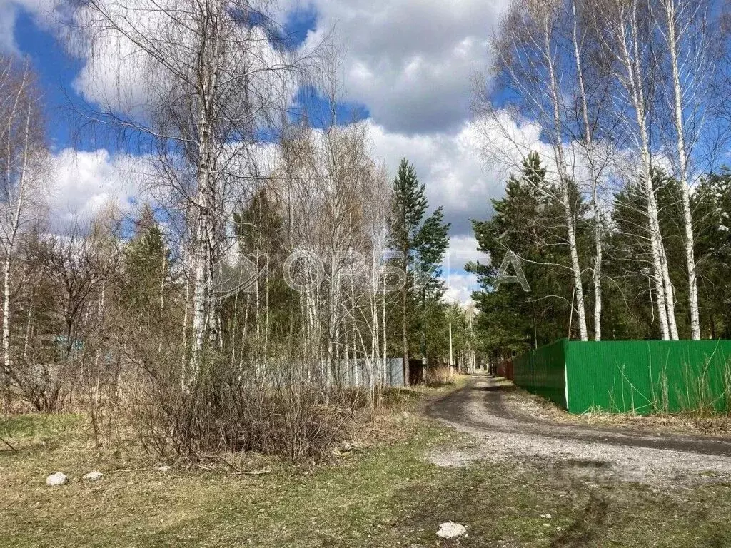 Участок в Тюменская область, Тюмень Поле Чудес садовое товарищество, ... - Фото 0