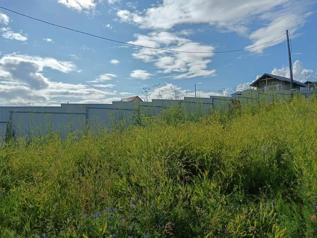 Участок в Красноярский край, Березовский район, Зыковский сельсовет, ... - Фото 1