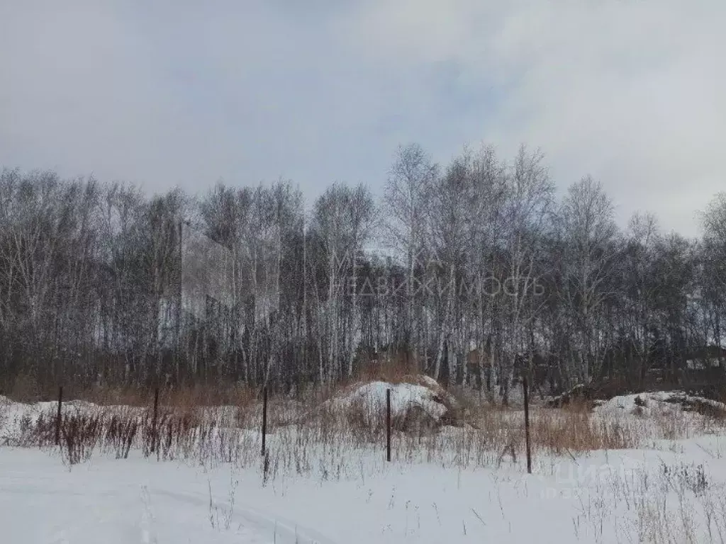 Участок в Тюменская область, Тюмень Плодовое СНТ, 712 (9.1 сот.) - Фото 1