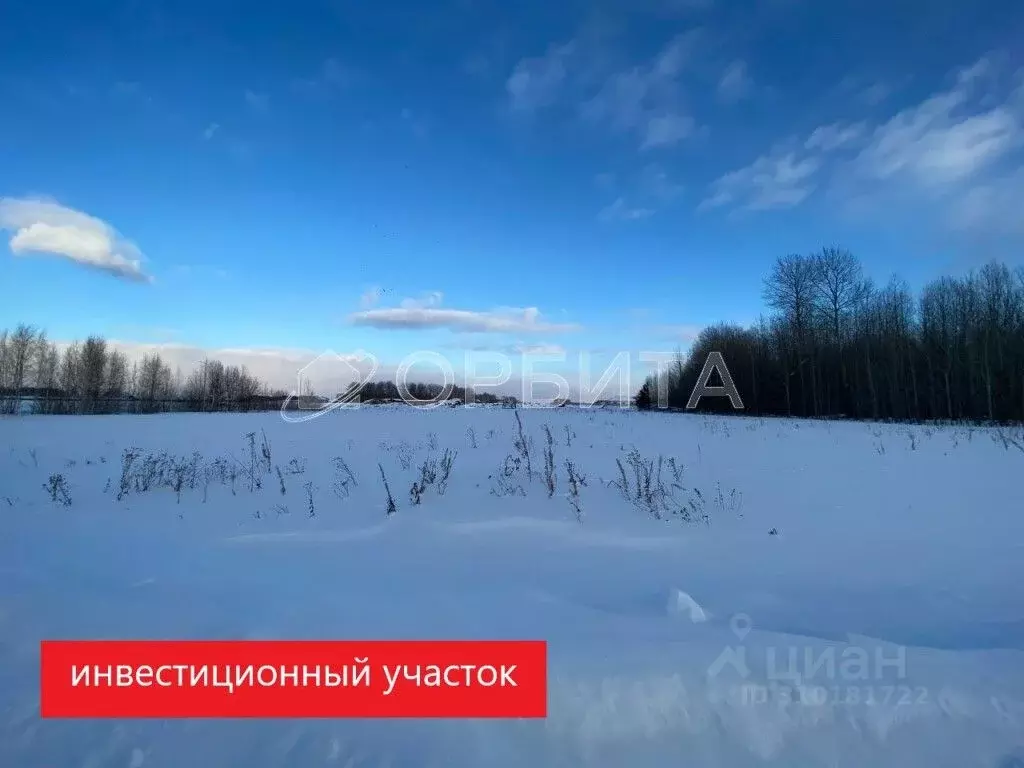 Участок в Тюменская область, Тюменский район, Новокаменский кп ул. ... - Фото 0