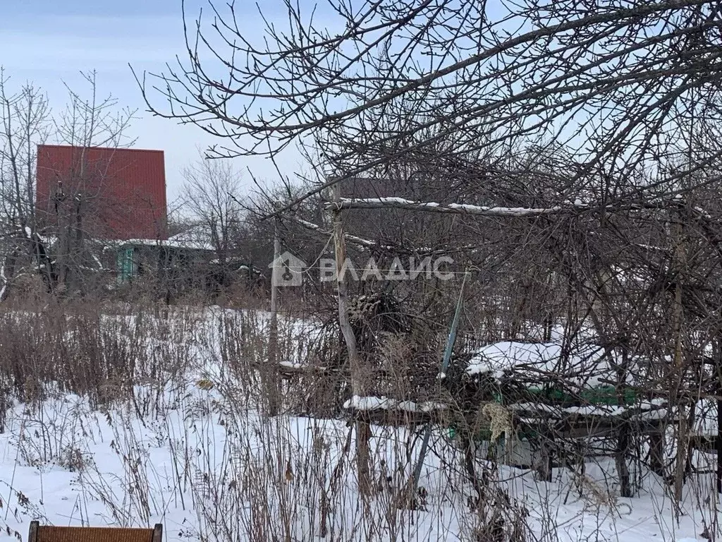 Участок в Воронежская область, Рамонский район, Айдаровское с/пос, ... - Фото 2