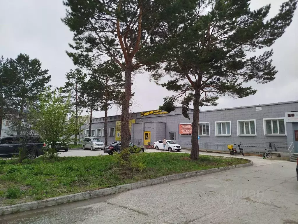 Помещение свободного назначения в Новосибирская область, Новосибирский ... - Фото 1